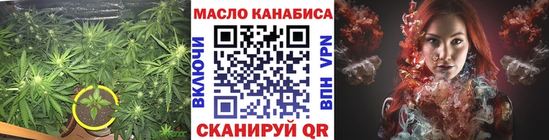 ТГК концентрат  Купить  Аргун 