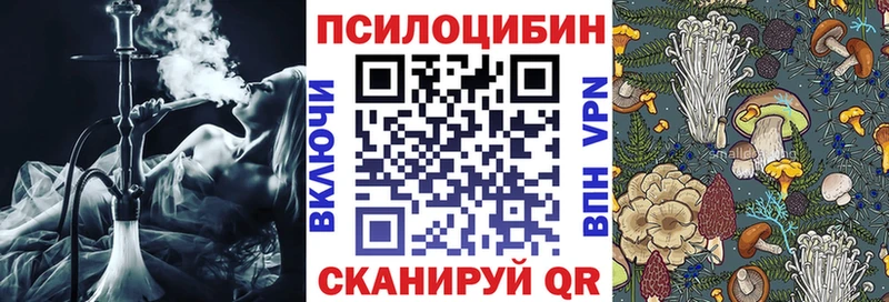 Галлюциногенные грибы Magic Shrooms  Купить закладки  Аргун 