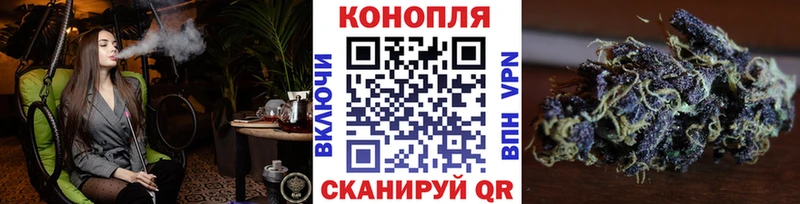 Конопля индика  Купить закладки  Аргун 